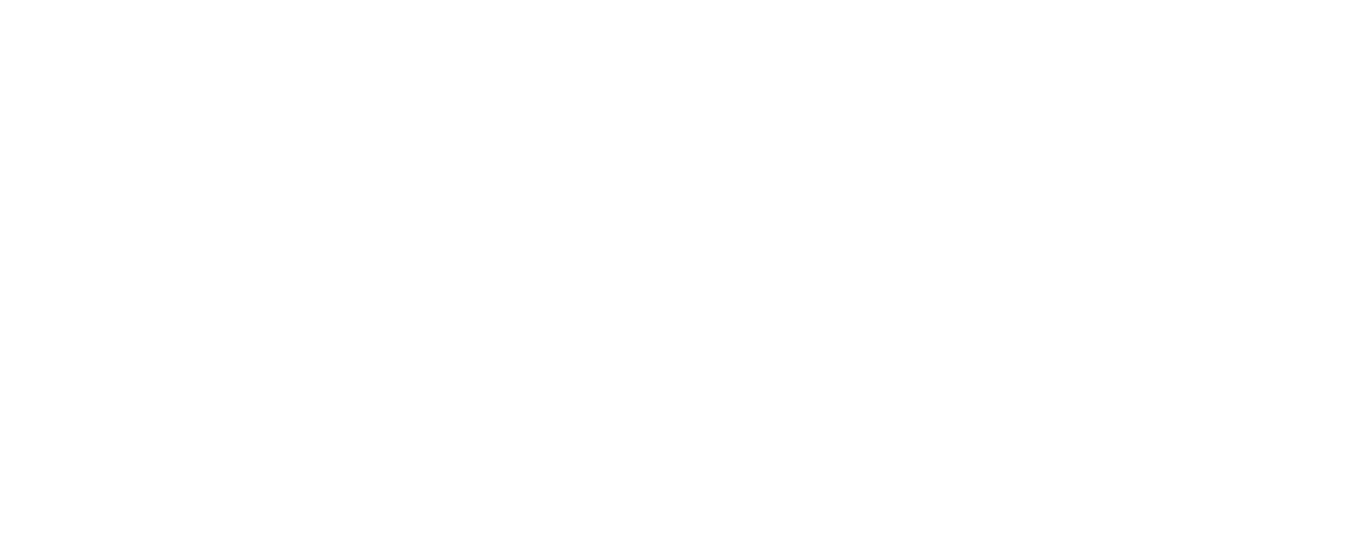 Projekt Nollvision